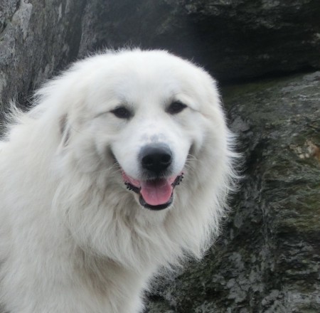 test1