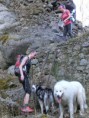 /album/dogtrekking-po-stopach-toulovce-2017/cimg9337w-jpg/